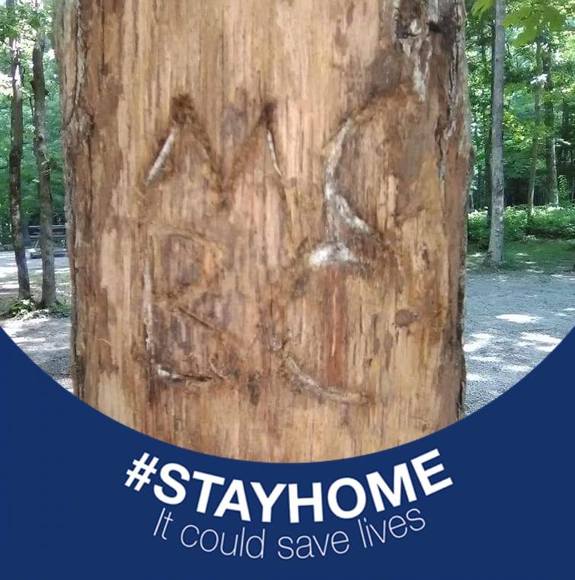 Meet your Posher, Rebecca - Picture 1 of 1